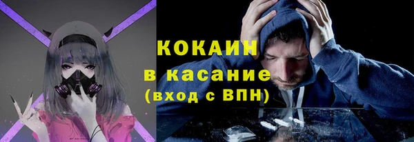 сатива Белокуриха