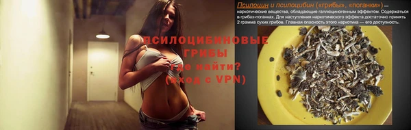 наркотики Приозерск
