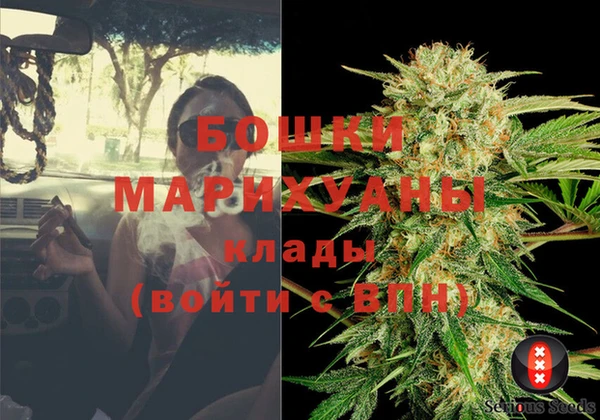 дживик Баксан